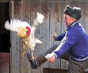 460 X 385 45.6 Kb 1920 X 2560 641.9 Kb Агашин положил глаз на автостоянки