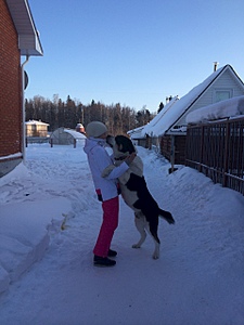 1920 X 2560 256.7 Kb  -    