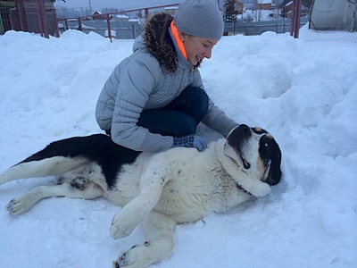 1920 X 1440 569.2 Kb 1920 X 2560 256.7 Kb  -    