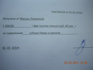 604 X 453 22.9 Kb Прошу помощи в оплате передержки щенков и собаки, выброшенных вместе с будкой