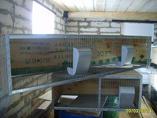 1920 X 1440 554.1 Kb 1920 X 1440 665.1 Kb    