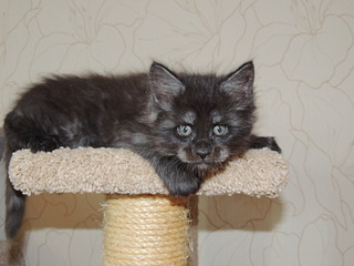 1920 X 1440 400.2 Kb - :) 