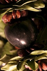 232 X 350  30.5 Kb 300 X 300  49.8 Kb 1920 X 1440 610.8 Kb 1920 X 2559 663.2 Kb    ,  , , !