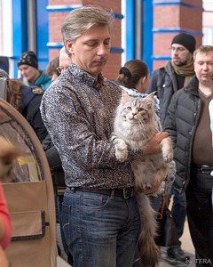 1920 X 2399 537.4 Kb 1920 X 2445 945.8 Kb 1-2 марта,выставка кошек. КЛК 'Кошки.RU'