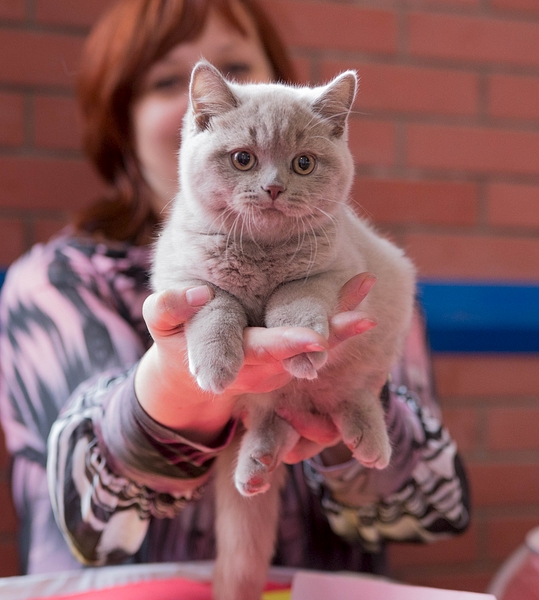 1920 X 2136 215.7 Kb 1920 X 2073 233.2 Kb   ,  ,   6  !