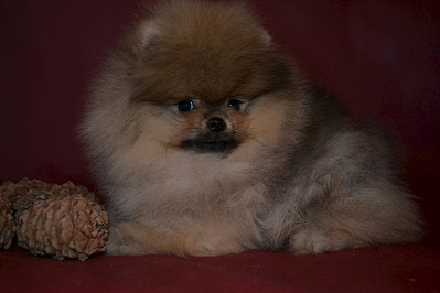 1024 X 682 136.0 Kb   !