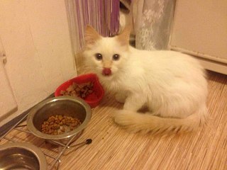 604 X 453 47.0 Kb ������� ����������� ������� ������ ���-����� ���� �����!