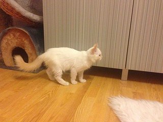 604 X 453 49.9 Kb 604 X 453 47.0 Kb ������� ����������� ������� ������ ���-����� ���� �����!