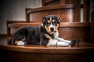 1920 X 1279 604.0 Kb  -    