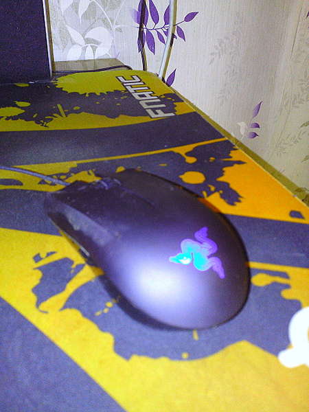 1920 X 2560 666.2 Kb  ,  , ,  !