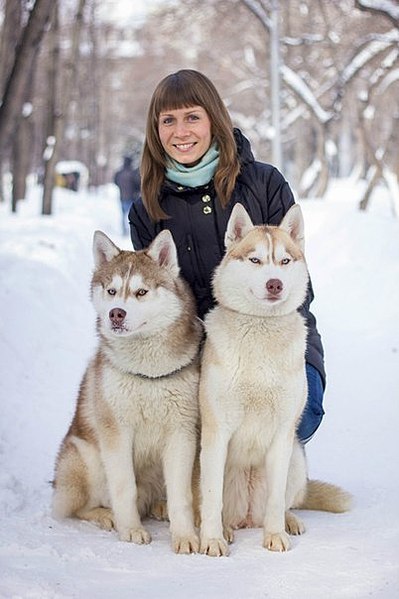 402 X 604  43.4 Kb 604 x 403 604 x 465 Благотворительная фотосессия 'Породистые помогают бездомным'. г.Новосибирск