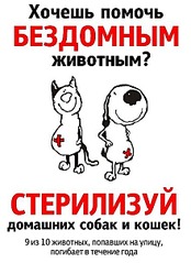 439 X 604  80.2 Kb 1748 X 1831 720.2 Kb    .    ? !
