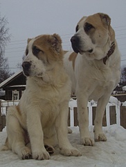 1713 X 2257 845.8 Kb    