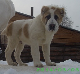 1693 X 1569 547.3 Kb 1920 X 2101 817.6 Kb 1713 X 2257 845.8 Kb    