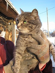 1920 X 2560 884.8 Kb 1920 X 2560 933.1 Kb Нужна помощь передержке ПростоКвашкино. ОЧЕНЬ МНОГО брошенных животных.