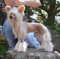 509 X 500 60.6 Kb 613 X 408 76.5 Kb     