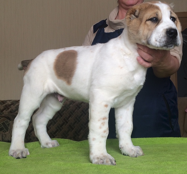 1920 X 1790 875.5 Kb  -    