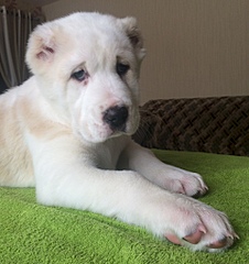 1920 X 2037 223.0 Kb 1920 X 1528 608.4 Kb  -    