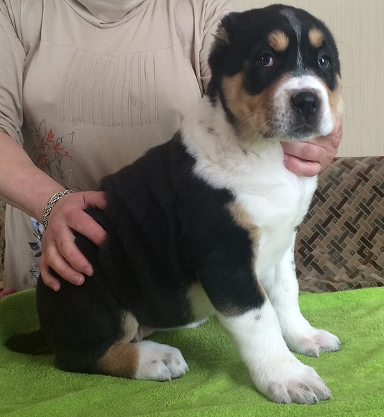 1695 X 1844 705.0 Kb 1920 X 1430 682.4 Kb  -    