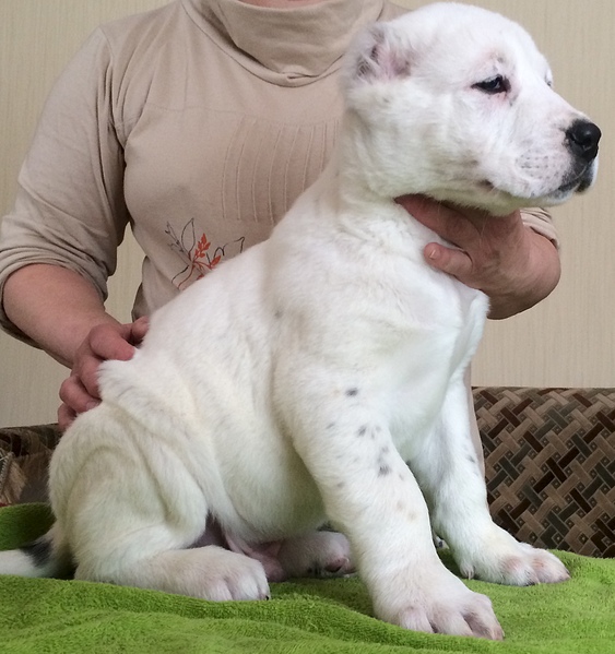 1781 X 1895 723.5 Kb 1920 X 1295 549.0 Kb  -    