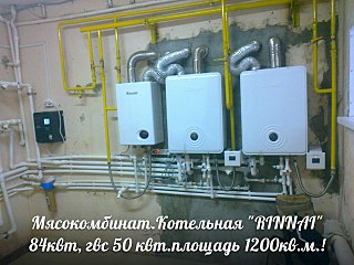 1280 X 960 241.5 Kb    Rinnai