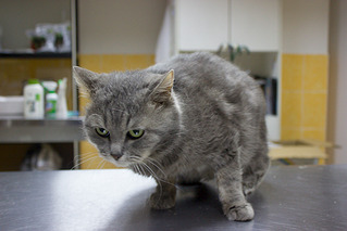 1000 X 667 701.3 Kb 1000 X 667 641.7 Kb 1000 X 667 690.9 Kb    .     .