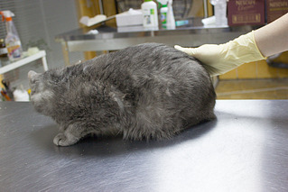 1000 X 667 736.8 Kb 1000 X 667 566.4 Kb    .     .