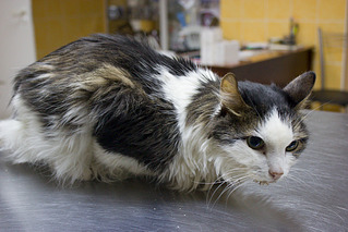 1000 X 667 811.2 Kb 1000 X 667 782.7 Kb 1000 X 667 736.8 Kb 1000 X 667 566.4 Kb    .     .