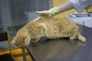 1000 X 667 739.9 Kb 1000 X 667 735.1 Kb    .     .