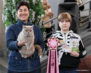 640 X 511 71.5 Kb Длинношерстные бриташки и компания!