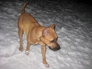 1920 X 1440 610.4 Kb 1920 X 1440 699.4 Kb  