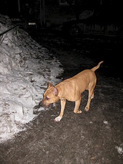 1920 X 2560 384.3 Kb  