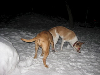 1920 X 1440 378.4 Kb 1920 X 2560 384.3 Kb  