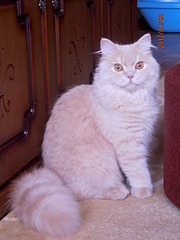 1920 X 2560 737.6 Kb   