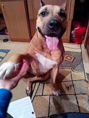 768 X 1024 151.0 Kb 768 X 1024 170.3 Kb  