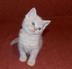 1920 X 1837 696.9 Kb   