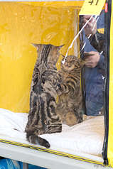 1873 X 2810 652.1 Kb  . .