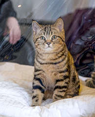 1920 X 2366 458.1 Kb 1873 X 2810 652.1 Kb  . .