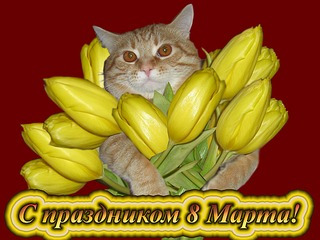 600 X 450 132.7 Kb Добро пожаловать в Центр 'КОТОФЕИЧ'! Приглашаем маленьких принцесс!