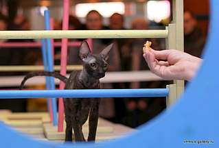 1024 X 694 281.5 Kb   .