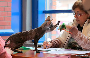 1024 X 661 311.3 Kb   .