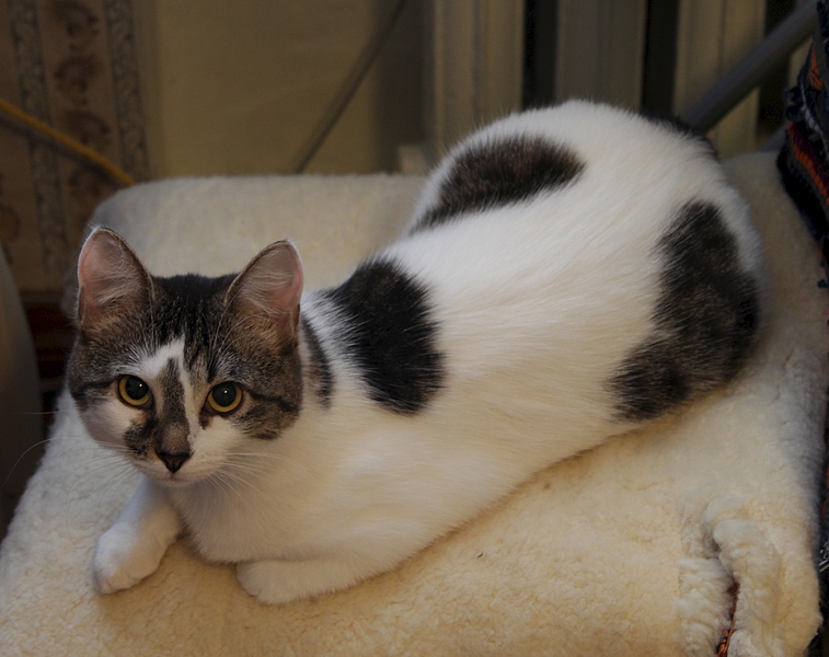 1920 X 1521 718.2 Kb -,      .