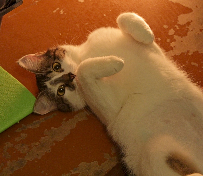 1920 X 1668 142.9 Kb -,      .