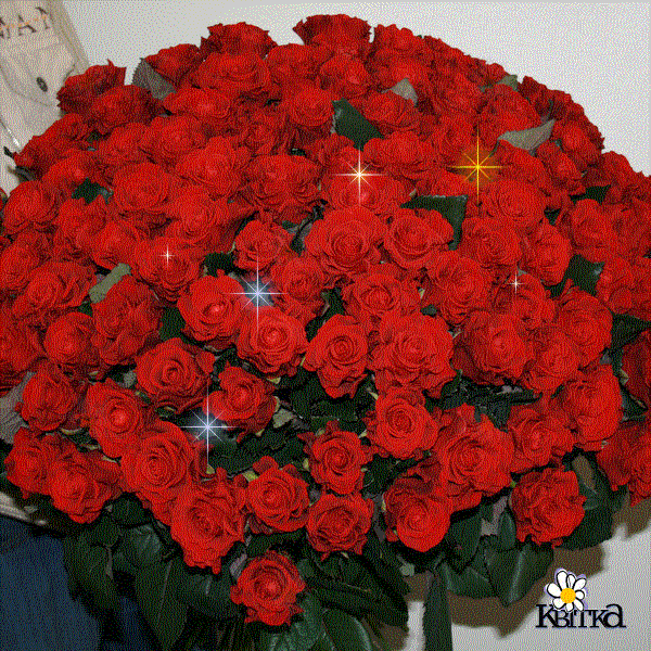 600 x 600 ижалкобайкеры) место для апщения!