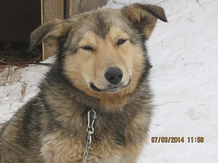 807 X 605  76.2 Kb  -  