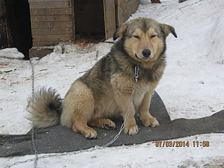 807 X 605  97.6 Kb 807 X 605 106.7 Kb  -  