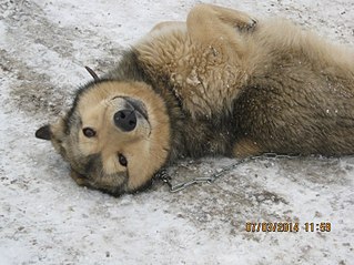 807 X 605 112.0 Kb 807 X 605  97.6 Kb 807 X 605 106.7 Kb  -  