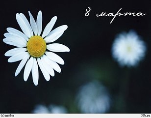 550 X 428 26.8 Kb ОБУВНИЦА вмещает 10 пар, занимает место как 1 пара. ФОТО