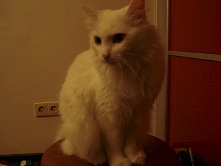 640 X 480  58.9 Kb 640 X 480  58.5 Kb 1191 X 842  97.3 Kb  