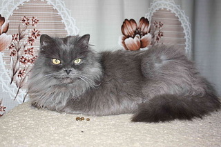 1920 X 1280 655.5 Kb   - .    ) !